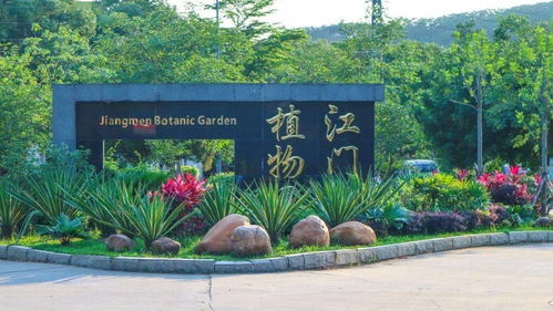 首屆杜阮羊肉美食節盛大啟動，融合美食與冰雪體驗